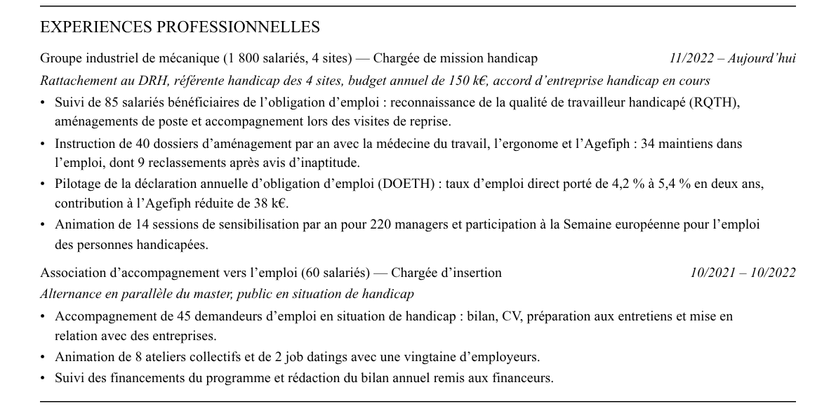 CV chargé de mission handicap : expériences